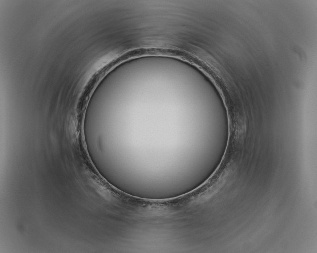 X0000113940974200909251237