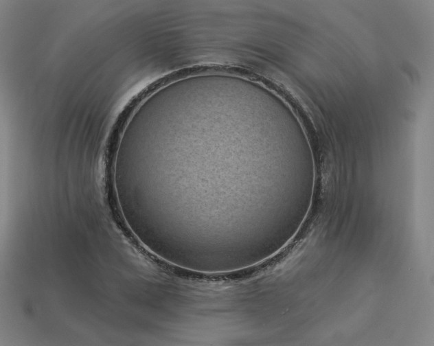 X0000113940975200909251237
