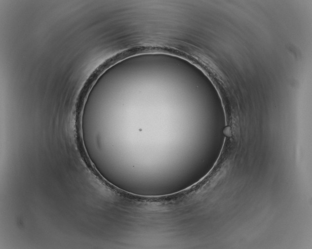 X0000113940976200909251237