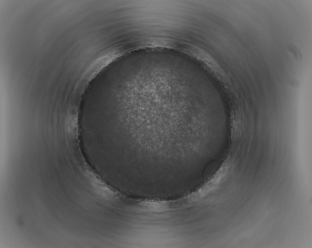 X0000113940977200909251237