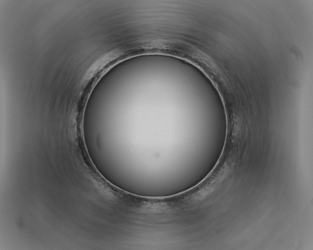 X0000113940978200909251237