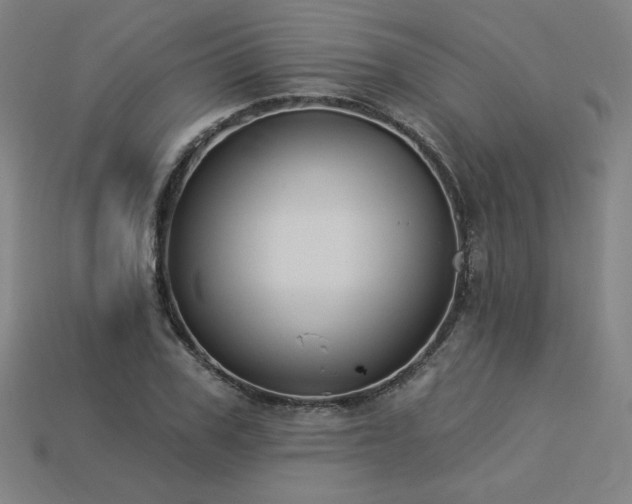 X0000113940979200909251237