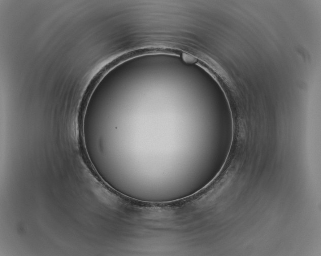 X0000113940980200909251237