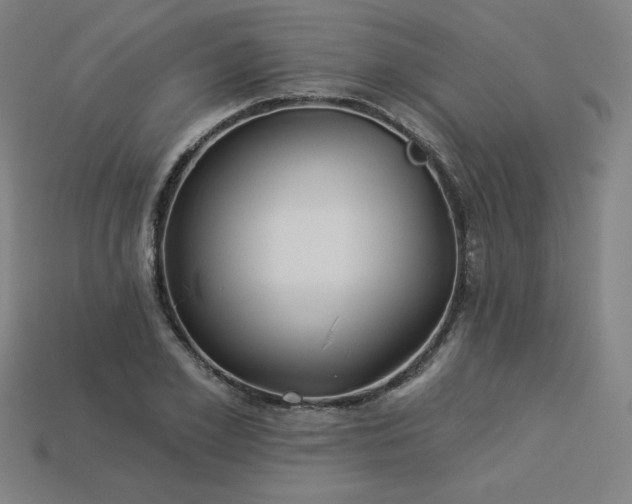 X0000113940981200909251237