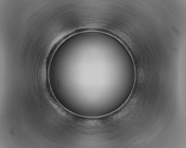 X0000113940982200909251237