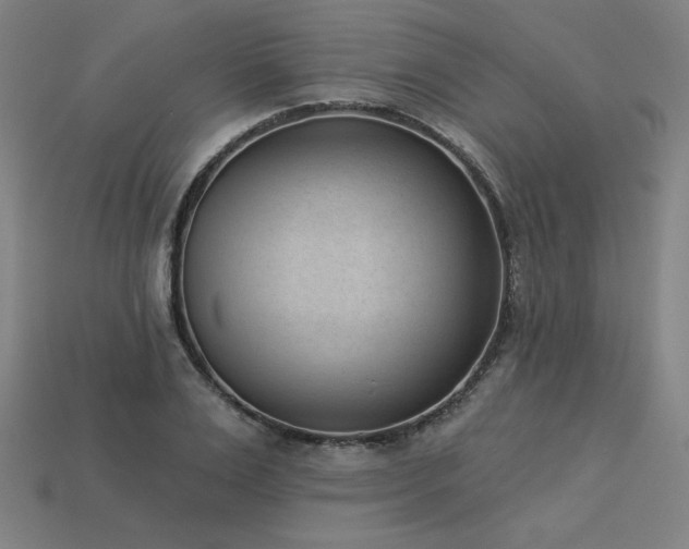 X0000113940983200909251237