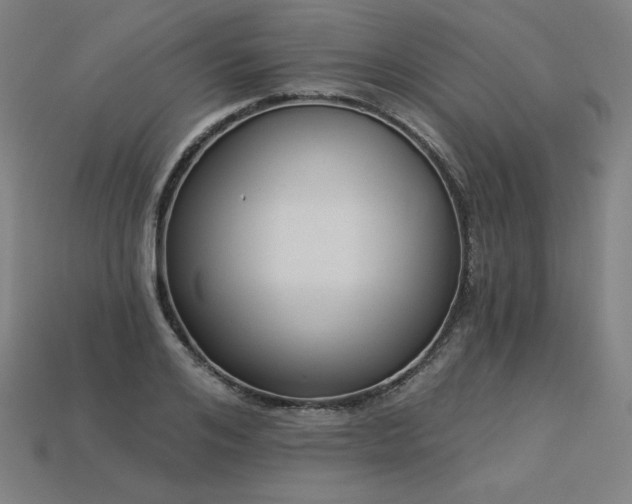 X0000113940984200909251237