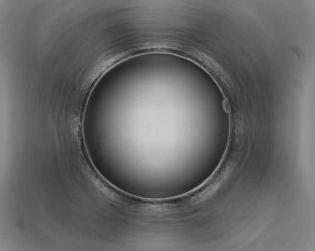 X0000113940985200909251237