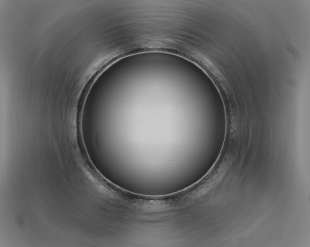 X0000113940986200909251237