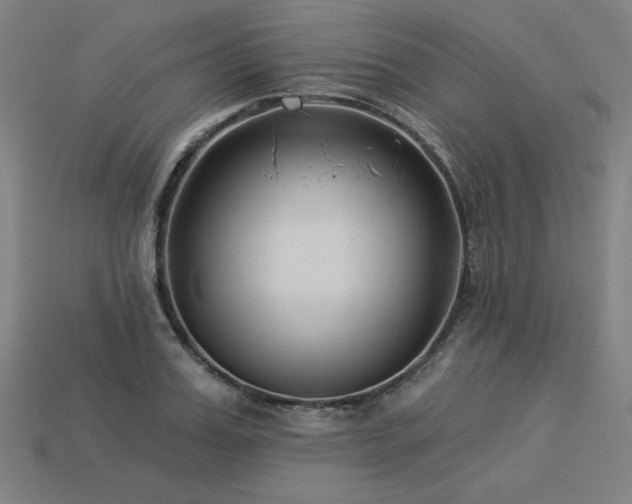 X0000113940987200909251237