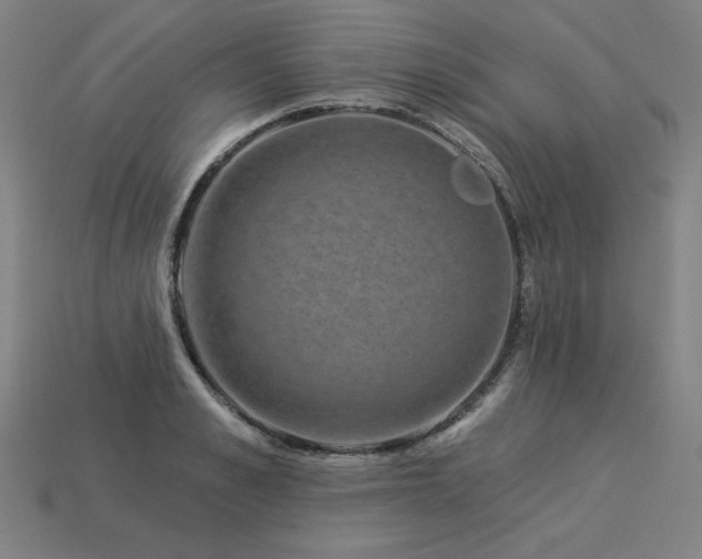 X0000113940989200909251236