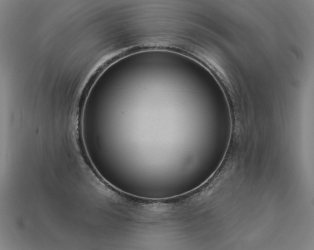 X0000113940992200909251236