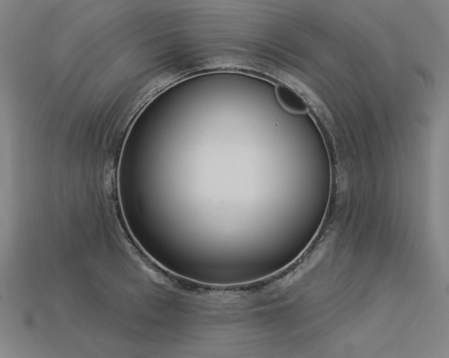 X0000113940993200909251236