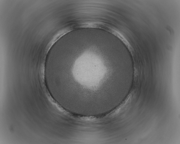 X0000113940994200909251236
