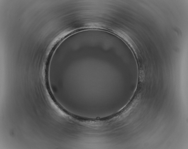 X0000113940995200909251236