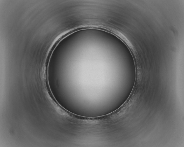 X0000113940996200909251236