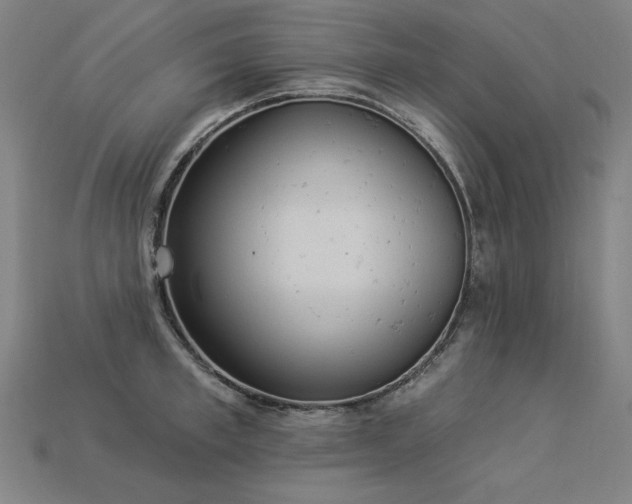 X0000113940997200909251236