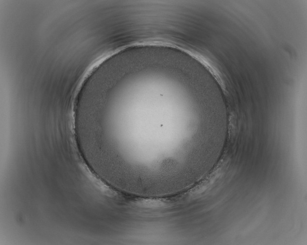 X0000113940998200909251236
