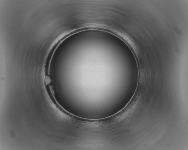 X0000113940999200909251236