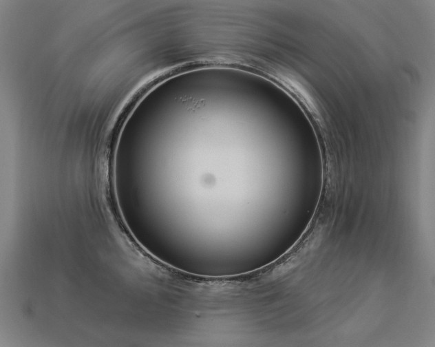 X0000113941000200909251236