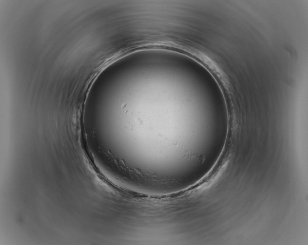 X0000113941001200909251236
