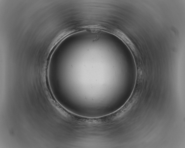 X0000113941002200909251236