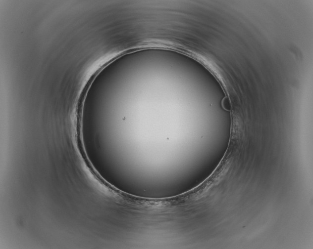 X0000113941003200909251236