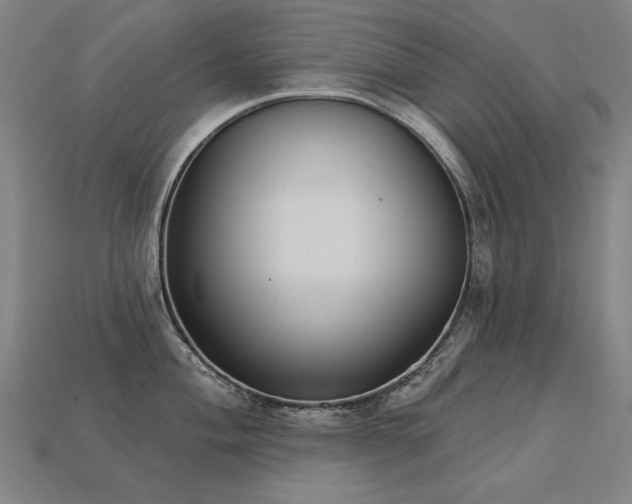 X0000113941004200909251236