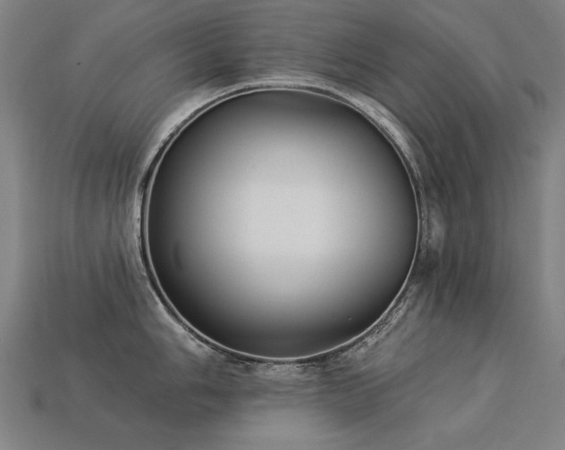 X0000113941006200909251236