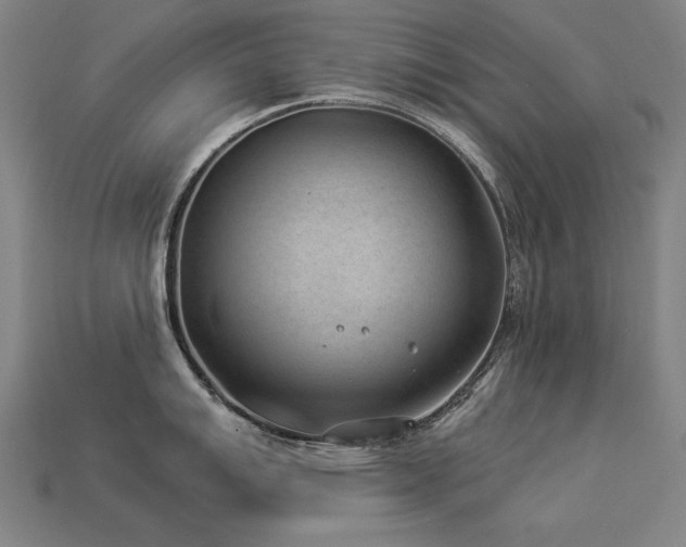 X0000113941007200909251236
