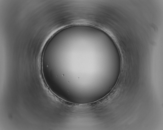 X0000113941008200909251236