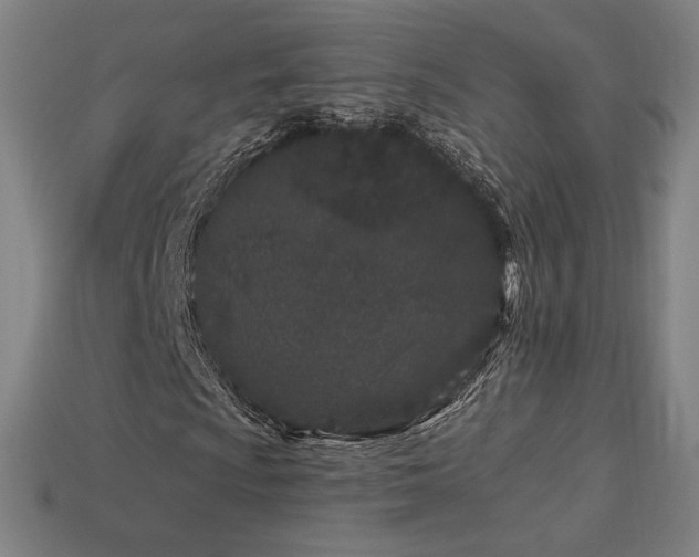 X0000113941009200909251236
