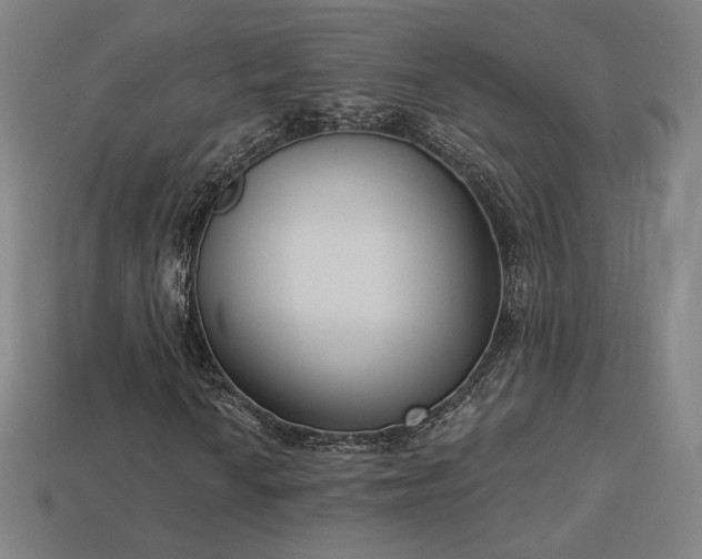X0000113941010200909251236