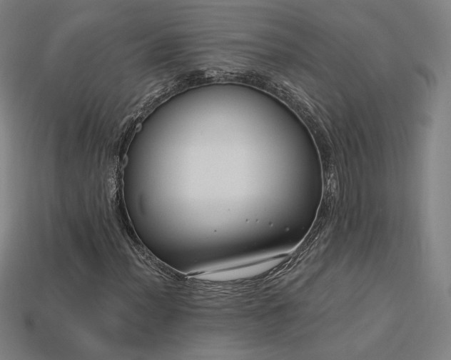X0000113941012200909251236