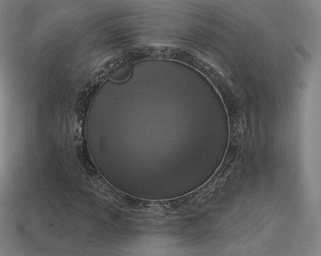 X0000113941013200909251236