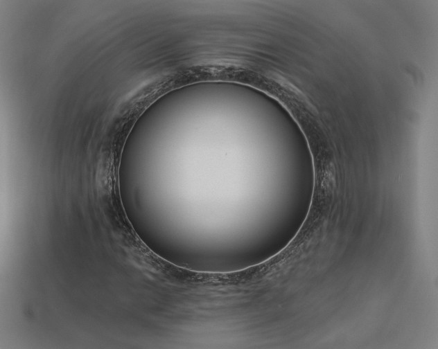 X0000113941014200909251236