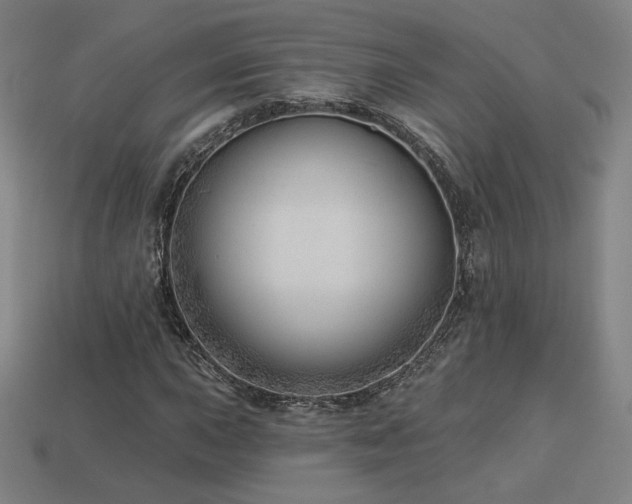 X0000113941015200909251236
