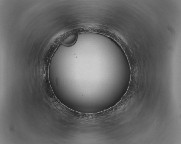 X0000113941016200909251236
