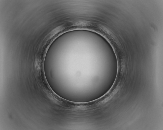 X0000113941017200909251236