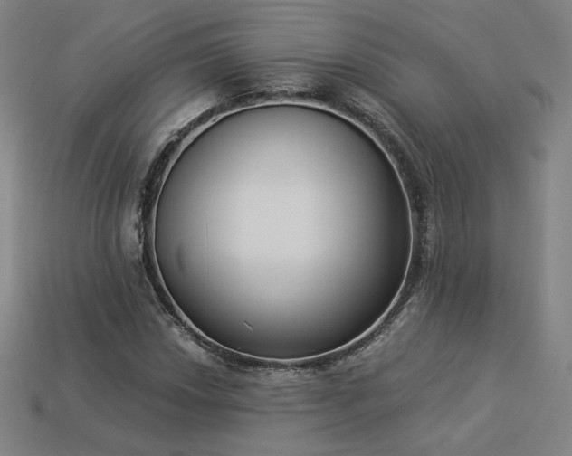 X0000113941018200909251236