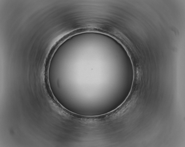 X0000113941020200909251236