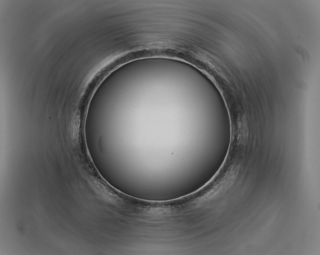 X0000113941021200909251236