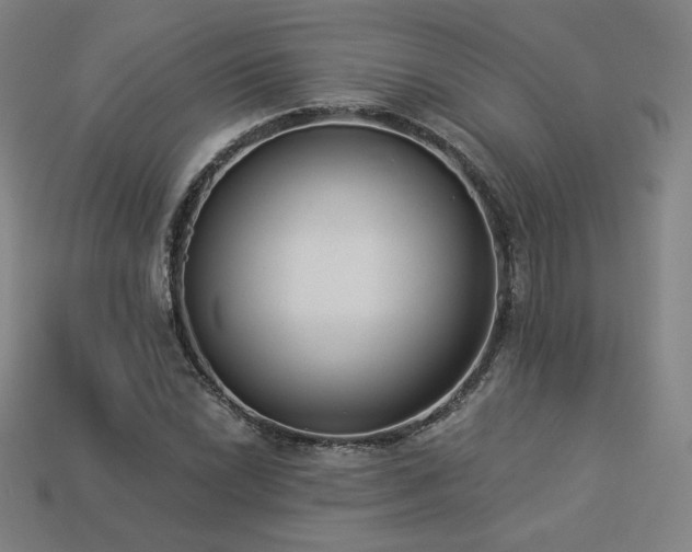X0000113941022200909251236