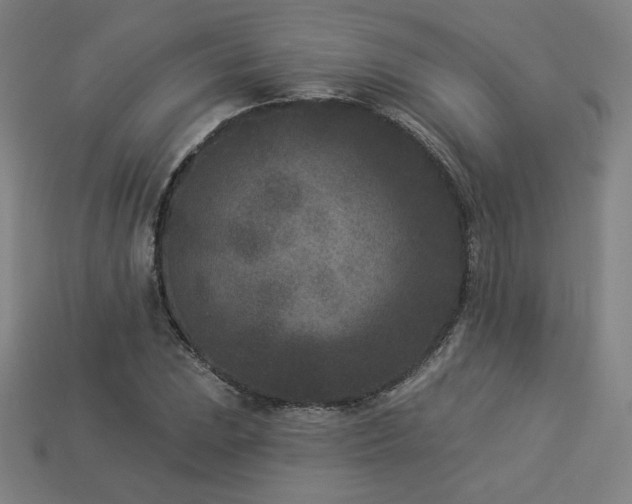 X0000113941023200909251236