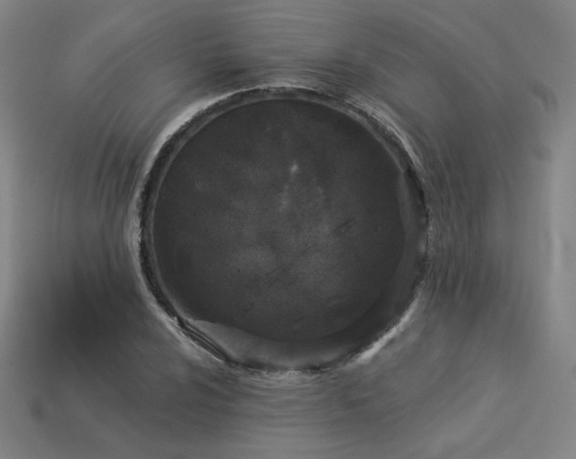X0000113941024200909251236