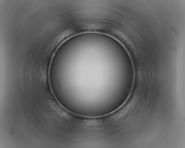 X0000113941025200909251236
