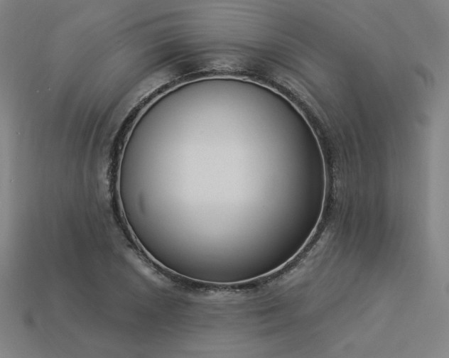 X0000113941026200909251236