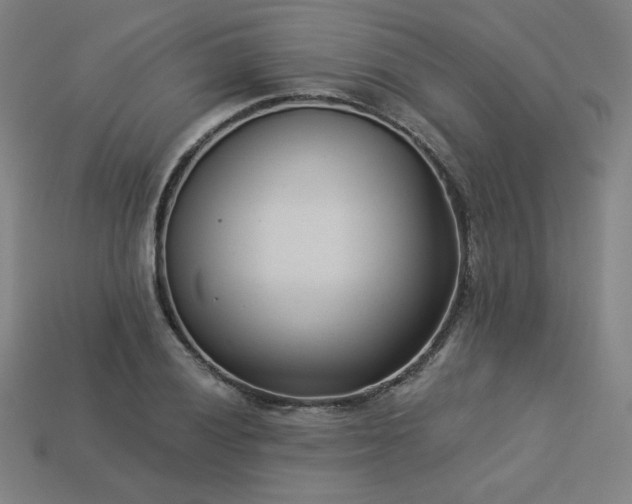X0000113941028200909251236