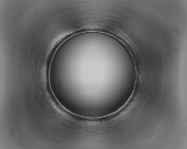 X0000113941030200909251236
