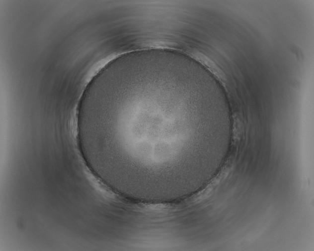 X0000113941031200909251236